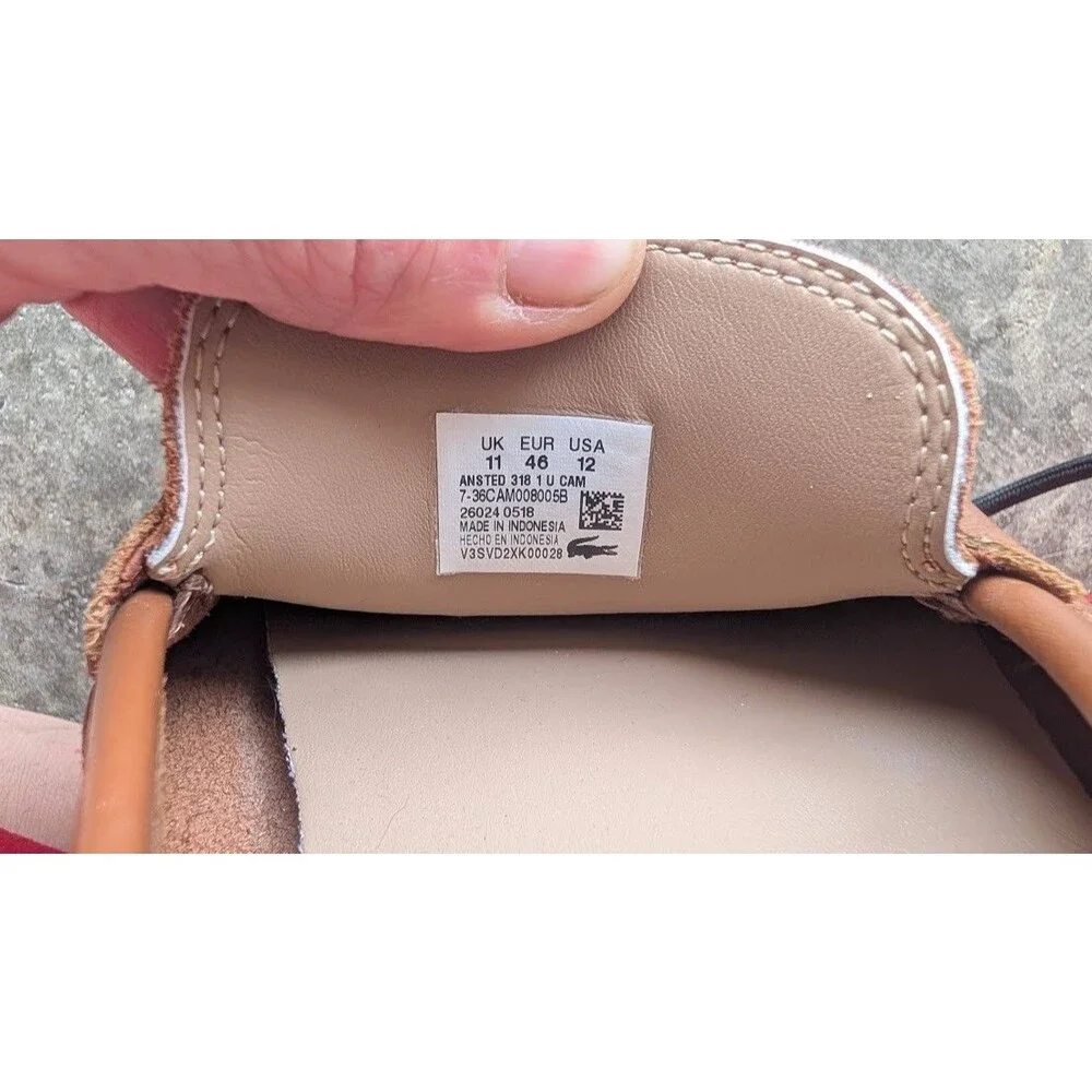Lacoste men ansted